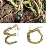 Turtle Tank Accessories, Simulation Artificial Vine Climbing Branch for Terrariums Decors Reptiles Habitat Vine Easy to and Water Resistant - Image 3