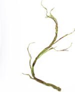 Turtle Tank Accessories, Simulation Artificial Vine Climbing Branch for Terrariums Decors Reptiles Habitat Vine Easy to and Water Resistant - Image 5