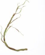 Turtle Tank Accessories, Simulation Artificial Vine Climbing Branch for Terrariums Decors Reptiles Habitat Vine Easy to and Water Resistant - Image 7