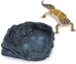 Wontee Reptile Water Dish Feeding Bowl Reptile Food Dish for Lizard Gecko Bearded Dragon Snake Tortoise Frog Hermit Crab (Black) - Image 2