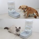 Pet Water Dispenser Food Feeder 1 Gallon and 3-Pounds Dry Food Capacity Automatic Dog Cat Feeders with Food Bowl for Large or Small Dogs (Grey Waterer +Feeder) - Image 4