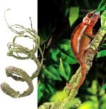 Turtle Tank Accessories, Life Like Vine Climbing Vine for Terrariums Decors Reptiles Habitats Artificial Vine Water Resistant - Image 3
