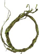 Turtle Tank Accessories, Life Like Vine Climbing Vine for Terrariums Decors Reptiles Habitats Artificial Vine Water Resistant - Image 5