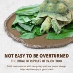 UEETEK Reptile Water Dish Reptile Feeding Plate : Resin Reptile Water Bowl Reptile Food Dish for Snakes Turtles Lizards, 7 x 5.5 x 0.3 inch - Image 4