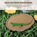 UEETEK Reptile Water Dish Reptile Feeding Plate : Resin Reptile Water Bowl Reptile Food Dish for Snakes Turtles Lizards, 7 x 5.5 x 0.3 inch - Image 5