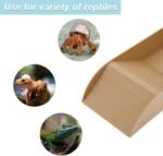 Tortoise Food Dish with Ramp, Plastic Reptile Water Bowl, Tortoise Water Pool, Reptile Climbing Ramp for Turtles Lizards, 13.98"x7.87"x2.36", Brown - Image 8