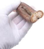 Turtle Tank Accessories, Reptiles Habitats Decoration Terrariums Natural Rattan Climbing Branch Resting Shelter Vine for Snake Bearded Dragon - Image 6