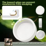 Escape-Proof Reptile Food Dish Bowl, Ceramics Small Animal Bowls for Lizard Frog Snake Turtle Gecko Hamster Food Bowl for Anti Living Foods Escape, Reptile Water Dish (L,3.93inches) - Image 4