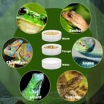 Escape-Proof Reptile Food Dish Bowl, Ceramics Small Animal Bowls for Lizard Frog Snake Turtle Gecko Hamster Food Bowl for Anti Living Foods Escape, Reptile Water Dish (L,3.93inches) - Image 5