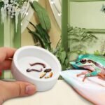 Escape-Proof Reptile Food Dish Bowl, Ceramics Small Animal Bowls for Lizard Frog Snake Turtle Gecko Hamster Food Bowl for Anti Living Foods Escape, Reptile Water Dish (L,3.93inches) - Image 6