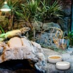 Escape-Proof Reptile Food Dish Bowl, Ceramics Small Animal Bowls for Lizard Frog Snake Turtle Gecko Hamster Food Bowl for Anti Living Foods Escape, Reptile Water Dish (L,3.93inches) - Image 7