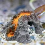 Turtle Tank Accessories, Terrariums Basking Platform Shelter Fishtanks Hideaways Cave for Fish Terrapins Landscaping Decoration House - Image 9