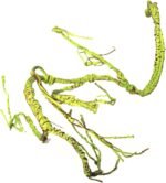 Turtle Tank Accessories, Life Like Vine Climbing Vine for Terrariums Decors Reptiles Habitats Artificial Vine Water Resistant - Image 2