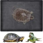 Reptile Food Water Bowl Plate Dish for Tortoise Crawl Pet Drinking and Eating Hallow Water Dish for Reptiles (Size2-M) - Image 3