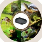 AYNEFY Reptile Food Water Rock Bowls,Resin Reptile Feeder Lizard Feeding Dish Amphibian Feeder Bowl Terrarium Decor for Bearded Dragons Leopard Gecko Frog Snake(Emerald - Image 4