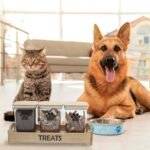 Geyecete dog treat container for Countertop pet treat container with 3 Jars dog treat jars For Puppy Airtight Wooden Dog Treat Storage With wood Lids - Image 4