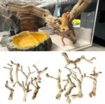 Turtle Tank Accessories, Reptiles Cave Trunk Terrariums Cave Natural Aesthetic Climbing Decors Toy Accessories - Image 3
