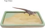 Reptile Feeding Dish Bowl Food and Water Bowl Tortoise Dish Reptile Tank Decor, Heavy Duty Ceramic Feeding Dish, Large Size - Image 4