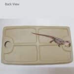 Reptile Feeding Dish Bowl Food and Water Bowl Tortoise Dish Reptile Tank Decor, Heavy Duty Ceramic Feeding Dish, Large Size - Image 7