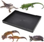 Reptile Food Water Bowl Plate Dish for Tortoise Crawl Pet Drinking and Eating Hallow Water Dish for Reptiles (Size2-M) - Image 2