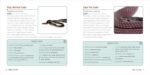Snakes for Kids: A Junior Scientist's Guide to Venom, Scales, and Life in the Wild - Image 3