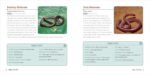 Snakes for Kids: A Junior Scientist's Guide to Venom, Scales, and Life in the Wild - Image 4