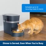 PetSafe Smart Feed - Electronic Pet Feeder for Cats & Dogs - 6L/24 Cup Capacity - Programmable Mealtimes - Alexa, Apple & Android Compatible - Backup Batteries Ensure Meal Delivery During Power Outage - Image 3